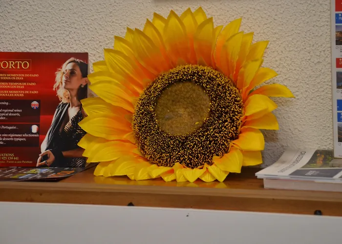 Girassol מלון 2*