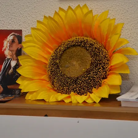 Girassol فندق 2*